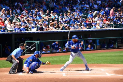 DSC_1740 (Large).JPG